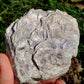 Lépidolite (lame de clivage)