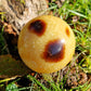 Sphère Septaria
