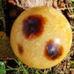 Sphère Septaria