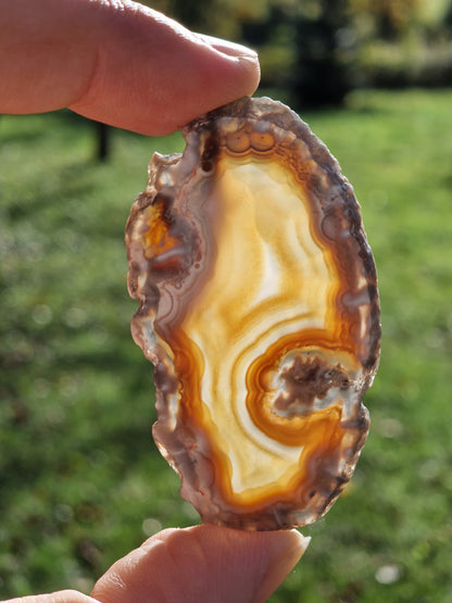 Tranche Agate (à choisir)