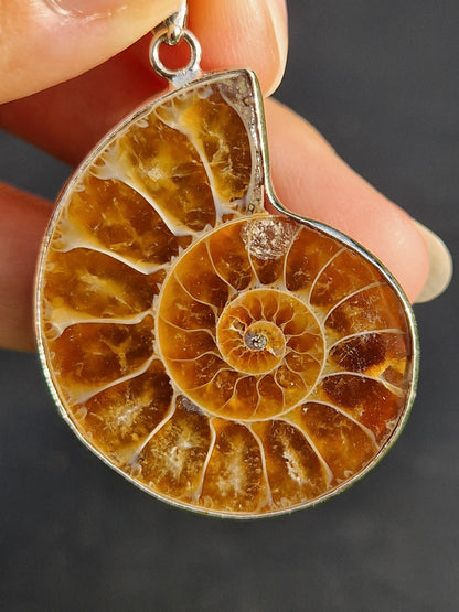 Pendentif Ammonite C
