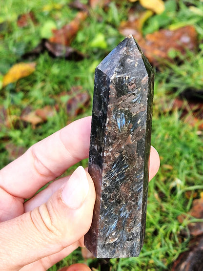 Pointe Arfvedsonite C