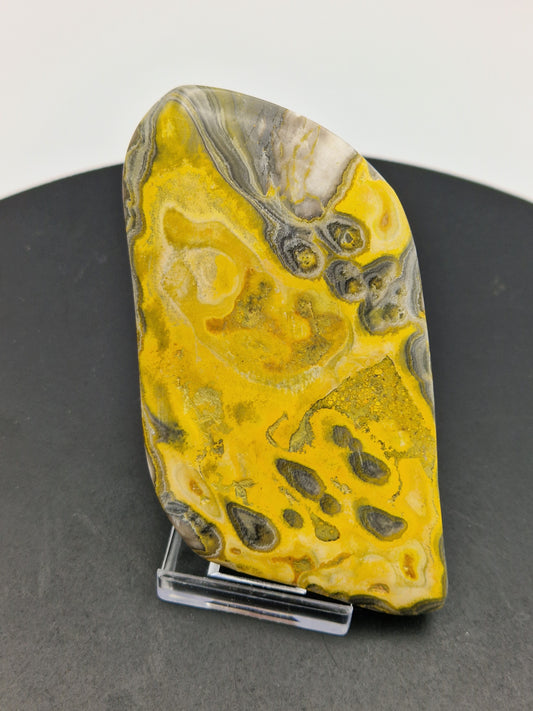 Plaque Jaspe Bumblebee (jaspe bourdon)
