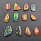 Ammolite (à choisir)