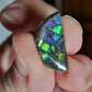 Ammolite (à choisir)