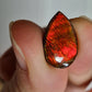 Ammolite (à choisir)
