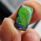 Ammolite (à choisir)