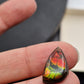 Ammolite (à choisir)
