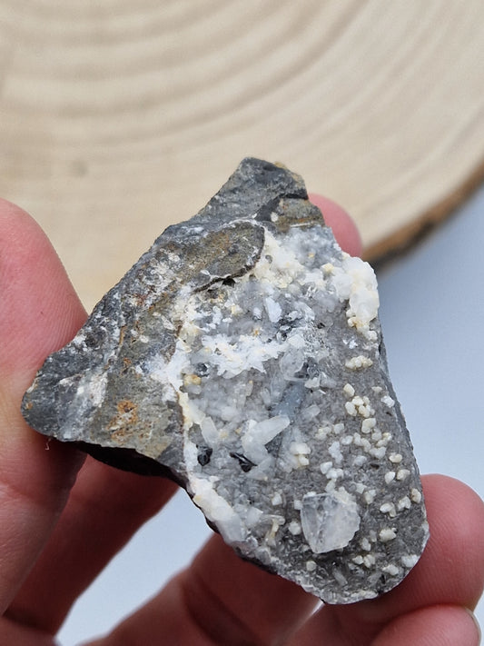 Septaria française brute E