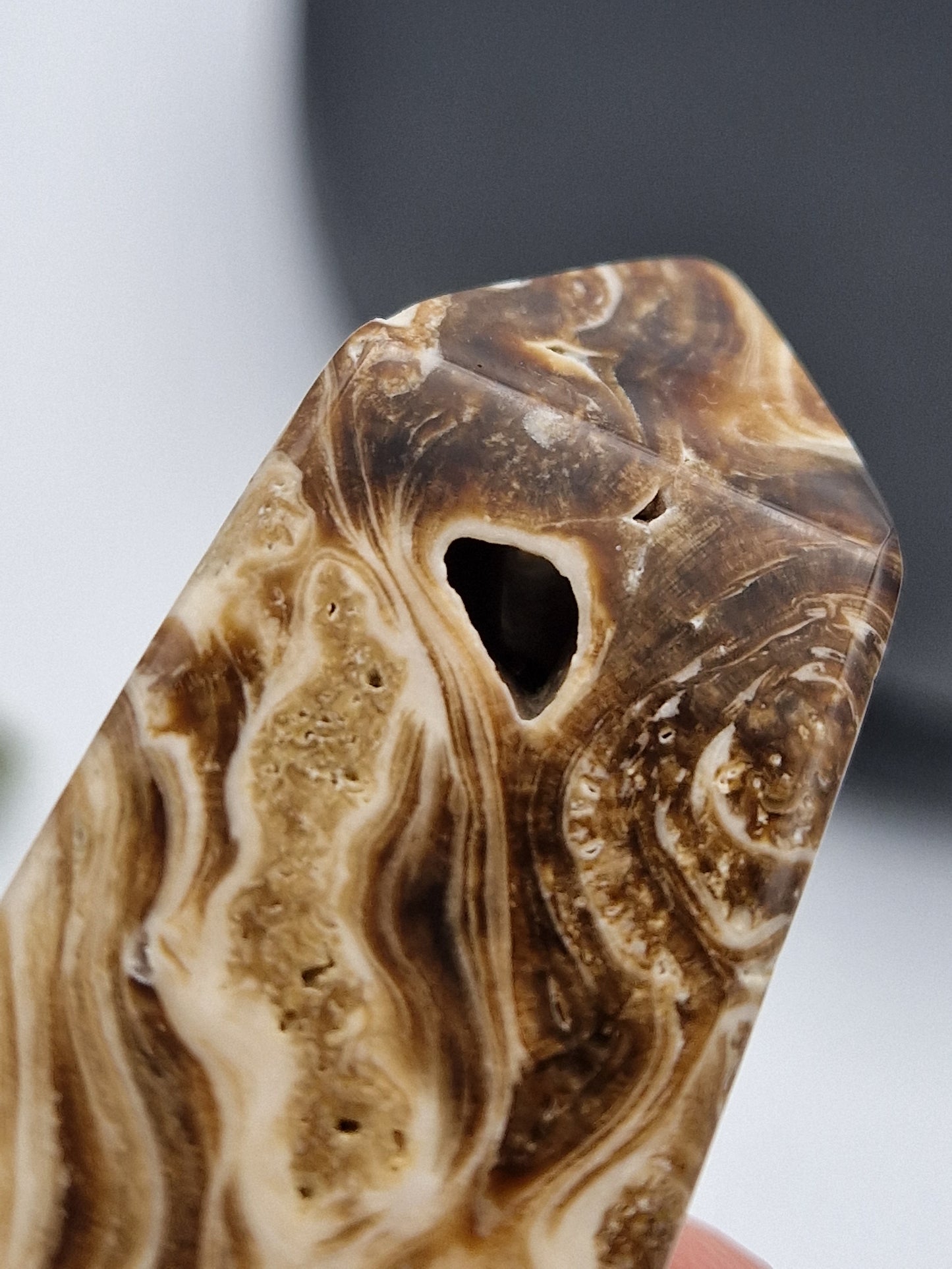 Pointe Calcite chocolat avec cavité