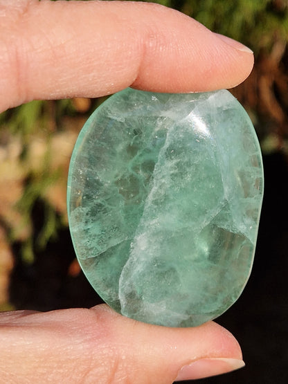 Galet plat Fluorite verte