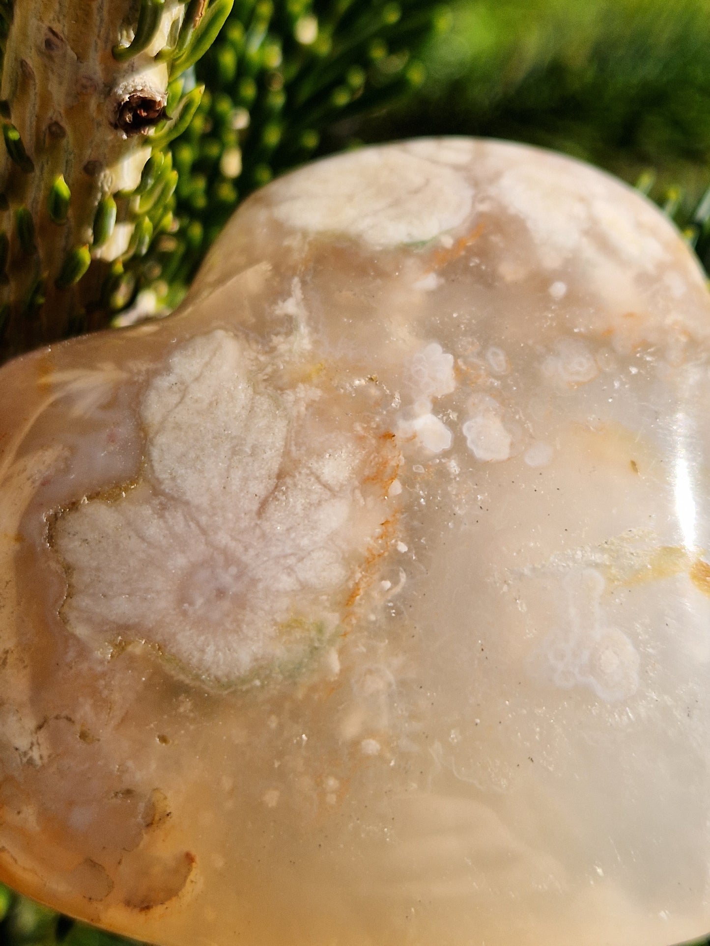 Cœur Agate fleurs de cerisier A