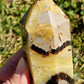 Pointe Septaria A
