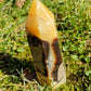 Pointe Septaria B