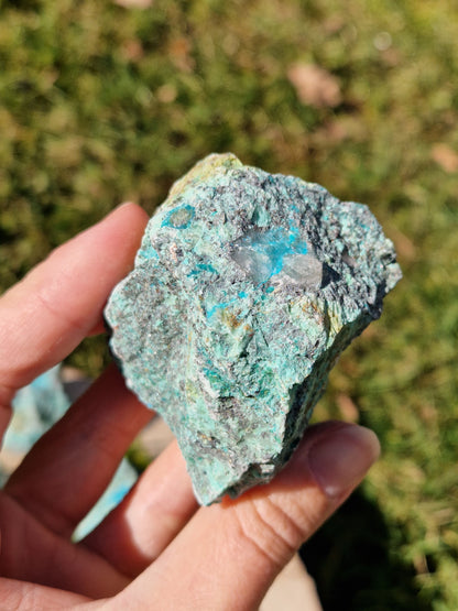 Chrysocolle brute extra (à choisir)