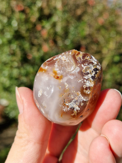 Agate eau (enhydre) n°2