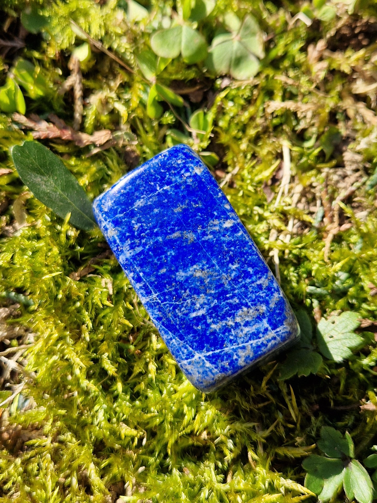 Forme libre Lapis Lazuli (à choisir)
