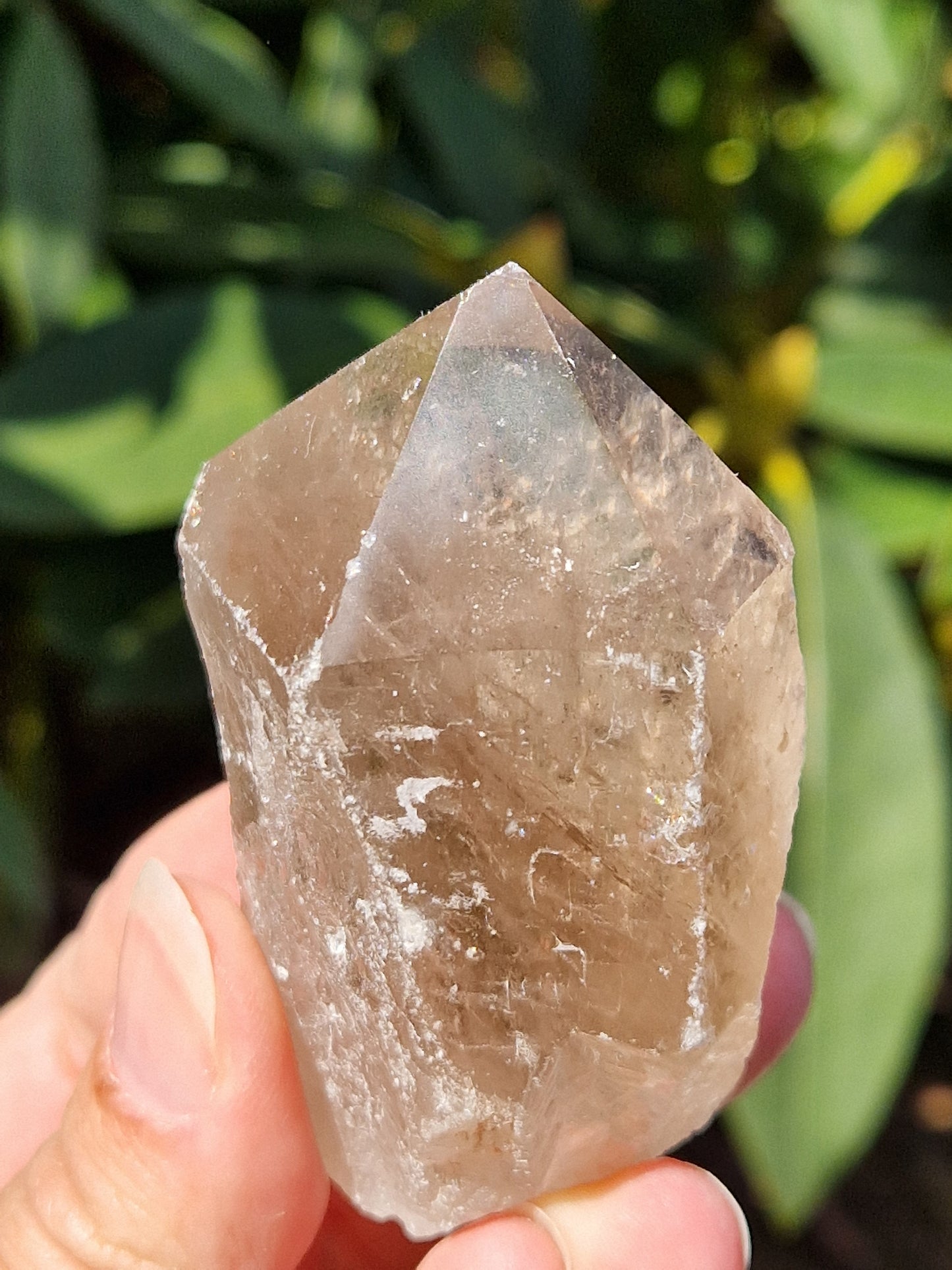 Pointe semi brute Quartz fumé B