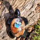 Tortue Opale d'Ethiopie