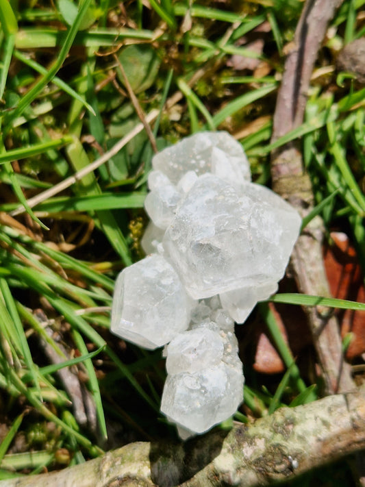 Apophyllite F