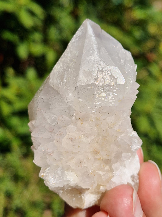 Quartz cactus blanc C2