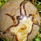 Sphère Septaria D